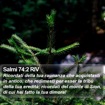 Salmi 74:2 RIV Bible Verse Image