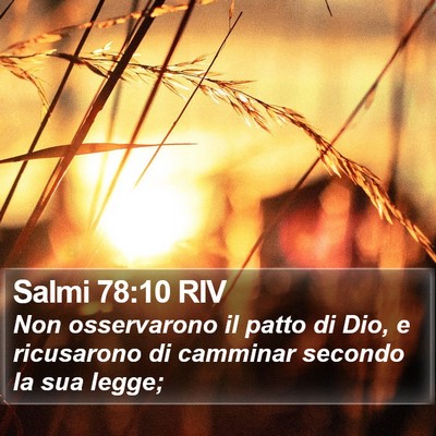 Salmi 78:10 RIV Bible Verse Image