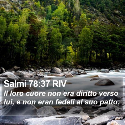 Salmi 78:37 RIV Bible Verse Image