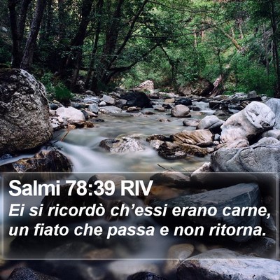 Salmi 78:39 RIV Bible Verse Image