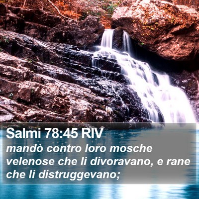 Salmi 78:45 RIV Bible Verse Image