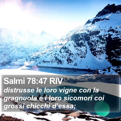 Salmi 78:47 RIV Bible Verse Image