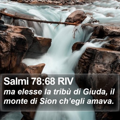 Salmi 78:68 RIV Bible Verse Image