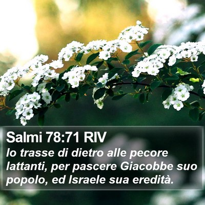 Salmi 78:71 RIV Bible Verse Image