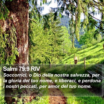 Salmi 79:9 RIV Bible Verse Image