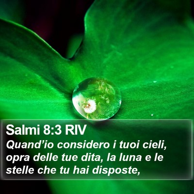 Salmi 8:3 RIV Bible Verse Image