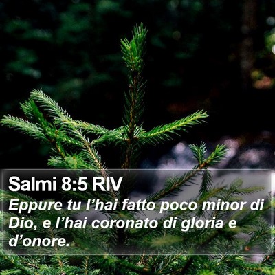 Salmi 8:5 RIV Bible Verse Image