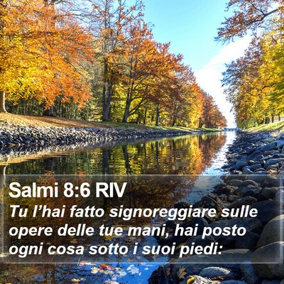 Salmi 8:6 RIV Bible Verse Image