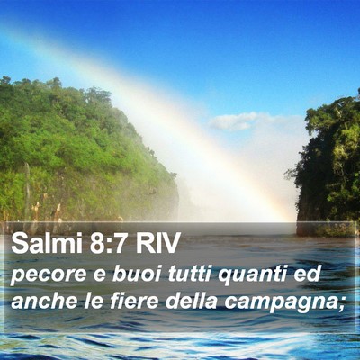 Salmi 8:7 RIV Bible Verse Image