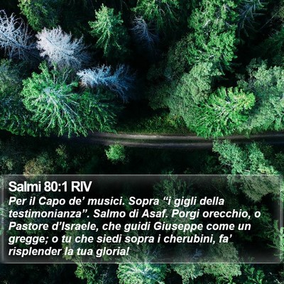 Salmi 80:1 RIV Bible Verse Image