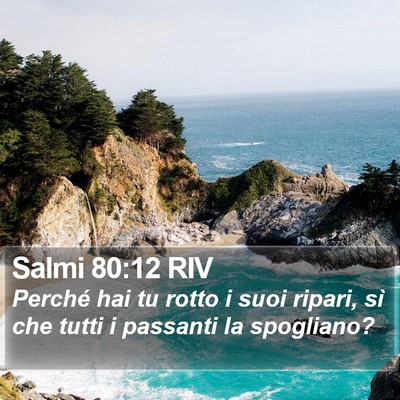 Salmi 80:12 RIV Bible Verse Image