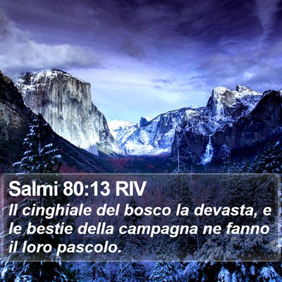 Salmi 80:13 RIV Bible Verse Image