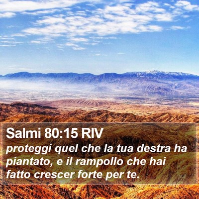 Salmi 80:15 RIV Bible Verse Image