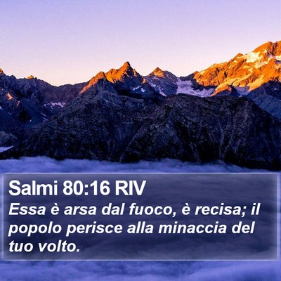 Salmi 80:16 RIV Bible Verse Image