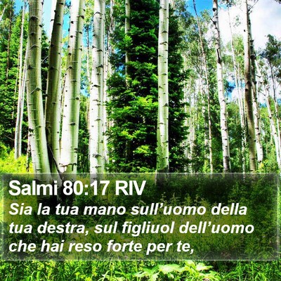 Salmi 80:17 RIV Bible Verse Image