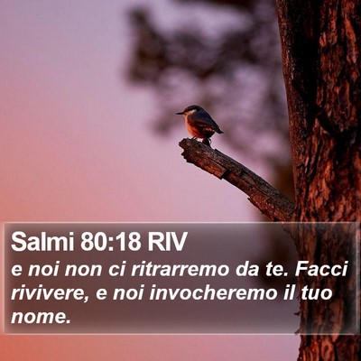 Salmi 80:18 RIV Bible Verse Image