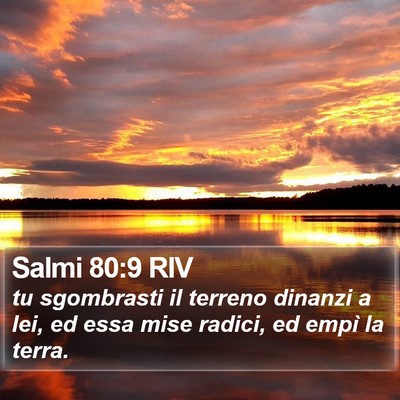 Salmi 80:9 RIV Bible Verse Image