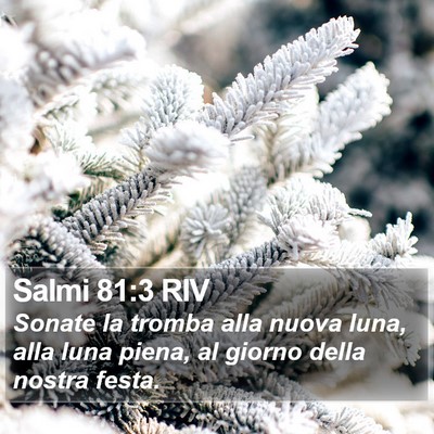 Salmi 81:3 RIV Bible Verse Image