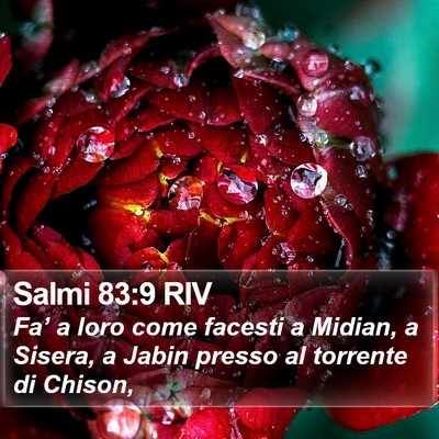 Salmi 83:9 RIV Bible Verse Image