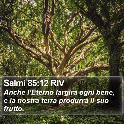 Salmi 85:12 RIV Bible Verse Image
