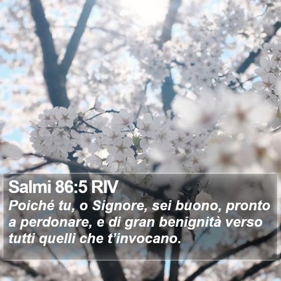 Salmi 86:5 RIV Bible Verse Image