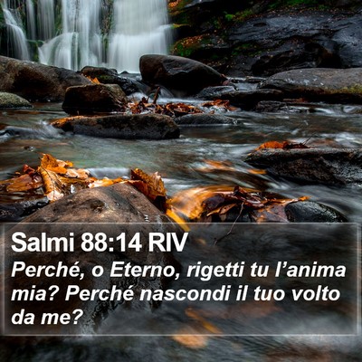 Salmi 88:14 RIV Bible Verse Image