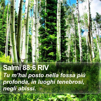 Salmi 88:6 RIV Bible Verse Image