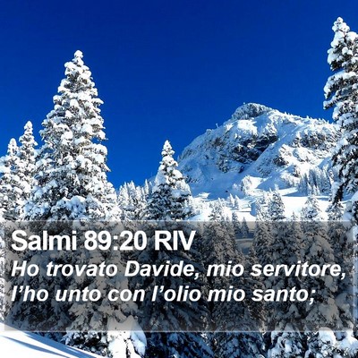 Salmi 89:20 RIV Bible Verse Image