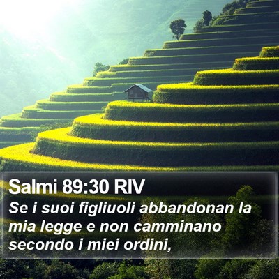 Salmi 89:30 RIV Bible Verse Image