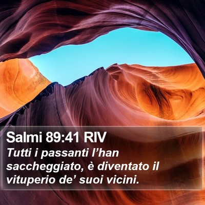 Salmi 89:41 RIV Bible Verse Image