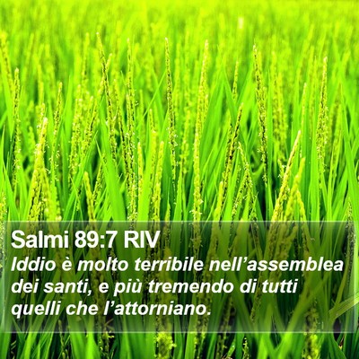Salmi 89:7 RIV Bible Verse Image