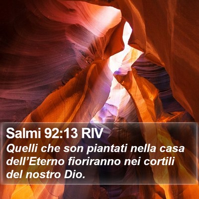 Salmi 92:13 RIV Bible Verse Image