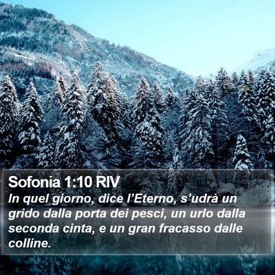 Sofonia 1:10 RIV Bible Verse Image