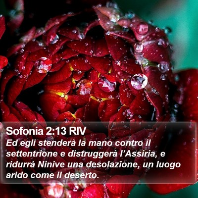 Sofonia 2:13 RIV Bible Verse Image