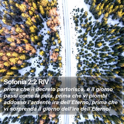Sofonia 2:2 RIV Bible Verse Image