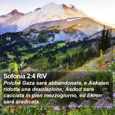 Sofonia 2:4 RIV Bible Verse Image