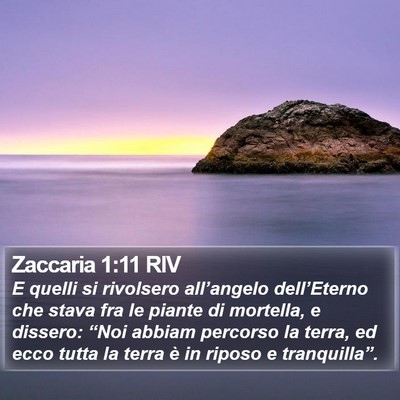 Zaccaria 1:11 RIV Bible Verse Image