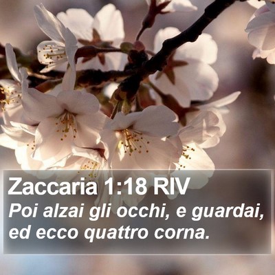 Zaccaria 1:18 RIV Bible Verse Image