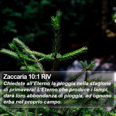 Zaccaria 10:1 RIV Bible Verse Image