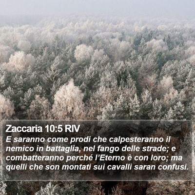 Zaccaria 10:5 RIV Bible Verse Image