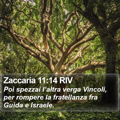 Zaccaria 11:14 RIV Bible Verse Image