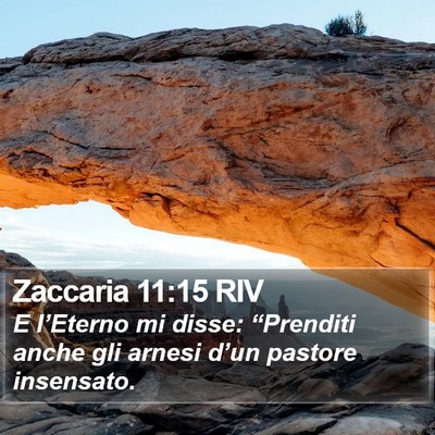 Zaccaria 11:15 RIV Bible Verse Image
