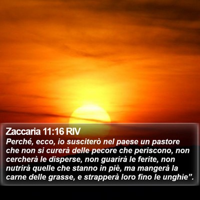 Zaccaria 11:16 RIV Bible Verse Image