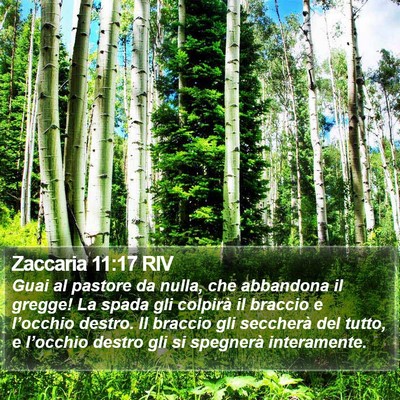 Zaccaria 11:17 RIV Bible Verse Image