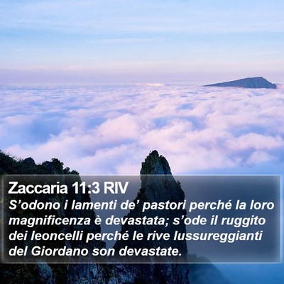 Zaccaria 11:3 RIV Bible Verse Image