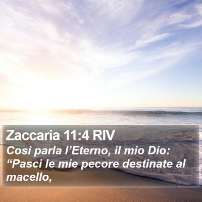 Zaccaria 11:4 RIV Bible Verse Image
