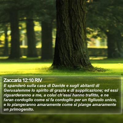 Zaccaria 12:10 RIV Bible Verse Image