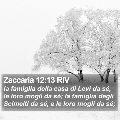 Zaccaria 12:13 RIV Bible Verse Image
