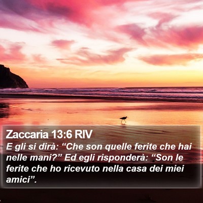 Zaccaria 13:6 RIV Bible Verse Image