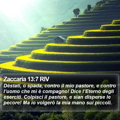 Zaccaria 13:7 RIV Bible Verse Image